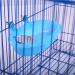QBLEEV Bird Baths Tub with Mirror - Parrot Birdbath Shower Accessories for Small Birds and Parrots - Buy Online on SooperMarket.com