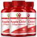 3-Pack Organic Apple Cider Vinegar Gummies – ACV Gummy with Mother for Kids & Adults – Supports Detox, Cleanse & Digestion – Rich in Vitamin B9, B12 – Energy Boost & Gut Health 80 Count (Pack of 3)