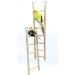 Wooden Bird Parrot Cage Climbing Ladder Toy - 2pcs (5 Step & 7 Step) - Buy Online on SooperMarket.com