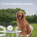 Anti Barking Device with 33FT Control Range Ultrasonic Dog Barking Deterrent Devices Automatic Stop Dog Barking Rechargeable & Waterproof Anti Bark Device Anti-Bark Tool for Large Small Dogs - Buy Online on SooperMarket.com