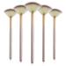 WLLHYF 5 PCS Facial Fan Brushes, Makeup Brush Mask Slim Soft Applicator Brushes Chemical Peel Brush Cosmetic Multi-Use Tools for Women Girl Makeup Artist Stylist