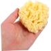 Gogogmee Moisturizer Natural Sponges for Bathing Natural Bath Sponge Sea Sponges for Shower Body Sponges Sponge for Shower Bathing Sponge Natural Sponges for Body Shower Sponge - Buy Online on SooperMarket.com
