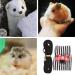Small Animal Harness Velcro Hamster Harness and Leash Set for Walking Small Animal Chest Straps for Bunny Rabbits Ferret Guinea Pig Chinchilla Puppy Kitten Harness(S) - Buy Online on SooperMarket.com