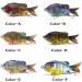 SENYUBBY Multi Jointed Swimbait Fishing Lure Big Giant Sinking Bass Lure with Treble Hook, 5.9in 1.94oz, 2/4/8/9 Segment Crankbaits Swimbaits - Buy Online on SooperMarket.com