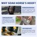 COMFPET Hoof Soaking Boot for Horse Hoof Care - White Line Disease, Thrush, Abscess Treatment - Blue, 1 Piece - Buy Online on SooperMarket.com