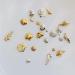 500pcs Nail Art Metal Studs - Sea Series Shell Starfish Deco | NAIL ANGEL 10007 - Buy Online on SooperMarket.com