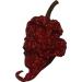 Wicked Reaper Carolina Reaper Chili Peppers - 10 Pack + 2 Free | Hottest Dried Spice - Buy Online on SooperMarket.com