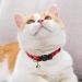 MJIYA Red Grid Dog and Cat Collar with Bell | Adjustable Plastic Buckle | Medium Size - Buy Online on SooperMarket.com