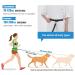 Snocyo Jogging Leash for Dogs | Elastic & Reflective Leash for Medium & Large Dogs | Double Handle & Waist Belt | Black & Blue - Buy Online on SooperMarket.com