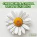 Buy 9 Hypoallergenic Bar Soaps for Sensitive Skin | Natural Chamomile Oil | Ideal for Men & Women - International Shipping Available - Buy Online on SooperMarket.com