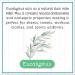 Brooke & Nora Goat Milk Laundry Soap - Eucalyptus Scent 120 Loads | Eco-Friendly International Shipping - Buy Online on SooperMarket.com