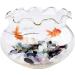 WAYBER Decorative Crystal Pebbles 1 lb - Natural Quartz Stones for Aquarium and Terrarium Decor - Multicolored Sea Glass Rock Sand - 460g Fill 0.9 Cup - Perfect for Fish/Turtle Tanks and Air Plants - Buy Online on SooperMarket.com