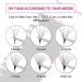 Fadlash Easy Fan C Curl 0.05 10mm Single Lashes - Russian Eyelash Extensions for Natural Self Fanning Blooming Look - Buy Online on SooperMarket.com