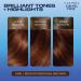 Clairol Nice'n Easy Cr me Permanent Hair Dye 5RB Medium Reddish Brown 115g - Pack of 1 - Buy Online on SooperMarket.com