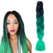 prinfantasy Ombre Braiding Hair Extensions Kanekalon Synthetic Hair for Crochet Twist 1 Black Dark Root to Green Braids Extensions Hair GBBZ096 GBBZ096 24 inch