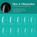 500Pcs Clear Short Ballerina False Nails Tips | Nail Glues for Acrylic & Dip Powder Nails | DIY Home Nail Art - Beetles - Buy Online on SooperMarket.com