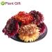 Buy Colorful Bracteantha Bractata Flower 30g | Anti-Fatigue Slimming Tea for Beauty & Liver Care - Buy Online on SooperMarket.com
