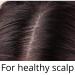 100% Pure Algae Oil - Unrefined Cold-Pressed for Face Skin Nails & Hair | Reduces Breakage Scars from Psoriasis Eczema & Acne - International Shipping Available - Buy Online on SooperMarket.com