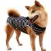 Heywean Dog Recovery Suit - Post-Surgery Protection Bodysuit for Dogs XL | Medical Dog Shirt for Castration Wound Care - Blue - Buy Online on SooperMarket.com