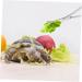 BELLIFFY Reptile Feeding Clip Reptile Tongs Feeding Snake Feeding Tongs Stainless Steel Silver - Buy Online on SooperMarket.com