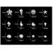 2 Boxes Metal 3D Ocean Nail Studs Star Starfish Shell Mix - 12 Grid Sizes Nail Art Decoration - Buy Online on SooperMarket.com