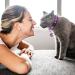 2PCS Glow in The Dark Breakaway Cat Collars with Bell - Adjustable Kitten Collars in Purple+Pink - Buy Online on SooperMarket.com
