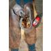 Kevin Bacon s Hoof Solution 150G | All Horse Types | Integrated Brush for Fast Application | Reduces Hoof Problems - Buy Online on SooperMarket.com
