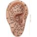 Yililay Ear Seed Acupuncture Kit - Complete 7.5 Inch Soft Ear Seed Set for Ear Therapy Weight Loss & Wellness - Buy Online on SooperMarket.com