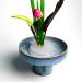 Set of 2 Clear Plastic Flower Frogs Arrangement Holders 2.76 Inch - 70mm - Buy Online on SooperMarket.com