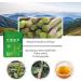 Dendrobium Puree Drink Dendrobium Extract Herbal Drops Dendrobium Puree Tea Drops Tonify Kidney and Qi Kidney Relieve Fatigue (1PC) - Buy Online on SooperMarket.com