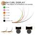 LashView 0.20mm D Curl Ellipse Flat Eyelash Extensions - Soft & Easy Application Mixed Tray (1 Pack) - Buy Online on SooperMarket.com