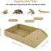 Tortoise Water Dish Tortoise Bath Dish 30.5x14.8x5.8cm Anti Slip Reptile Pool Bowl with Ramp Reptile Feeding Box Dish Plastic Turtle Water Bowl Tortoise Habitat Accessories for Basking Feeding Wood Small - Buy Online on SooperMarket.com