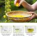 Mullein Leaf Tea - Respiratory and Lung Cleanse Herbal Tea | 40 Tea Bags, Caffeine-Free - Buy Online on SooperMarket.com