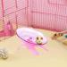 YuanYouTong Silent Hamster Wheel 7 Inch Exercise Wheel for Syrian Hamsters Hamster Flying Saucer Quiet Spinner Running Wheel for Gerbil Chinchilla Guinea Pig Mice Hedgehog Small Animals (Pink) - Buy Online on SooperMarket.com