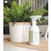 Sapadilla Rosemary + Peppermint Variety Pack - 16 oz Hand Soap, Dish Soap, Countertop Cleanser - Buy Online on SooperMarket.com