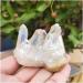 70grams Natural White Cluster Electroplating Titanium Coating Quartz Cluster StoneCrafts HOMEZHOU - Buy Online on SooperMarket.com