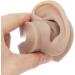 Silicone Ear Model Left and Right Soft Flexible Model Fake Ear Piercing Practice Human Ear Model Silicone Ear for Jewelry Display Acupuncture Teaching (#3) - Buy Online on SooperMarket.com