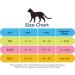 CAT SCHOOL Cat Harness and Leash Set for Outdoor Walks Training and Travel - Secure Soft Comfortable Cat Vest Harness with 10' Long Cat Leash - Easy to Use with Step-by-Step Instructions S/M - Buy Online on SooperMarket.com