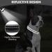 Joytale Softly Padded Neoprene Dog Collar for Medium Dogs - Reflective Nylon Wide Collar Black (1 Pack) - Buy Online on SooperMarket.com
