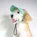 BT BEAR Hundege Baseball Cap for Dogs - Adjustable Ear Holes XL Batik Green - Perfect for Summer Travel & Sports - Small to Medium-Sized Pets - Buy Online on SooperMarket.com