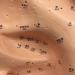 Ear Acupuncture Template Template - Human Giant Ear Acupuncture Template - Chinese Medicine Ear Pattern - Buy Online on SooperMarket.com