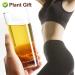 Buy PlantGift Barley Tea 200G - Caffeine Free Sugar Free Digestive Support & Fat Burning Mugicha - Buy Online on SooperMarket.com