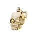 Police Born To Shine for Him Cologne for Men - Notes of Spearmint Oil Apple Accord and Mandarin Oil - Powerful and Energetic - 4.2 oz EDT Spray