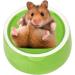 CAJHFIZHANGU 1pc Gradient Side Hamster Ceramic Bowl Hamster Food Bowl Ceramic Water Bowl Small Animal Water Bowl Anti-bite Small Animal Food Bowl Water Feeder for Rabbit Hedgehog Guinea-Pig Green - Buy Online on SooperMarket.com