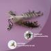 2022 Cat Feather Toy Set - Interactive Kitten Toys with Elastic Wand and Refill Feathers - Indoor Cat Play and Exercise - Buy Online on SooperMarket.com