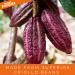 Superfoodies Raw Organic Cocoa/Cacao Nibs 2KG - Superior Criollo Beans from Peru - Non-GMO - 2kg (Pack of 1) - Buy Online on SooperMarket.com