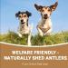 Pets Purest 100% Natural Red Deer Antlers for Dogs - 2 Small Stag Horn Bones - Premium Treat & Plaque Removal Chews - Buy Online on SooperMarket.com