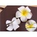 Buy cuhair 3pcs Plumeria Hair Clips for Women & Girls | Stylish Hair Accessories - Buy Online on SooperMarket.com