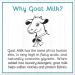 Buy Daisy s Goat Milk Laundry Soap - Organic Fragrance-Free Gluten-Free Paraben-Free Lasts 120 Loads | Brooke & Nora at Home - International Shipping Available - Buy Online on SooperMarket.com