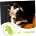Yardwe Pet Kitten Sweater - Breathable Winter Jacket for Cats | Cozy Coats & Costumes | Light Green | Perfect for Autumn & Winter - Buy Online on SooperMarket.com